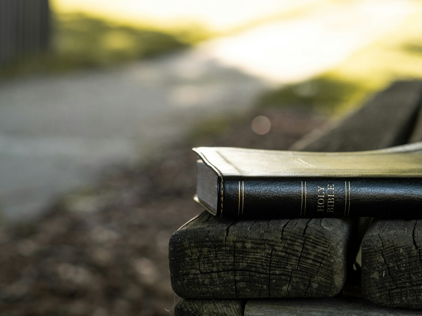 Renovação espiritual: o papel da Bíblia em sua vida
